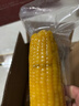 京鲜生东北黄糯玉米300g*8棒 甜黏玉米低脂早餐代餐粗粮真空装 源头直发 实拍图