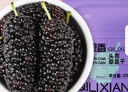 杞里香大果桑葚干500g（2罐装）精选黑桑葚即食桑椹干补品桑葚汁养生茶 实拍图