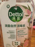 滴露（Dettol）香氛自然衣物消毒液48H留香洗衣除臭儿童可用消毒水杀菌除螨1L*2 实拍图