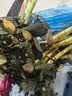 泰西丝杜鹃花盆栽四季常青室内外绿植阳台耐寒好养花卉盆景植物源头直发 实拍图