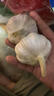 京鲜生河南杞县大蒜带皮新鲜干蒜净重5斤单果4.5-5cm  源头直发 实拍图