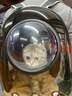 licheers猫包外出大号宠物背包便携太空舱猫笼狗袋双肩透气大容量猫咪书包 实拍图