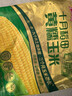 十月稻田 黄甜糯玉米 8根 3.52斤 真空包装 东北粘玉米棒 低脂早餐 实拍图