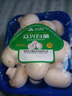 【绿色认证】鲜美白蘑菇230g 实拍图