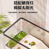 阔庭（KUOTING）乌龟缸桌面透明生态乌龟缸乌客厅水族箱黑色 实拍图
