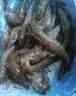 鲜京采【0保水剂】大号黑虎虾仁1kg 无冰净重68-88只  实拍图