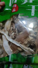 昱品源 黄山笋干500g 南北干货嫩笋片笋菜干素食脱水蔬菜干火锅蔬菜食材 简装 实拍图
