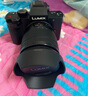 松下（Panasonic）Lumix G100D M43画幅相机 M43卡口 微单相机 无反数码相机 G100D+【12-60mm白盒】单镜套装 实拍图