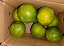 兀果语2025年云南密桔酸桔子当季薄皮橘子孕妇新鲜水果爆汁无核青 2斤 实拍图