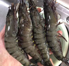 天纵良材进口巨型黑虎虾 活冻大虾老虎虾斑节虾对虾 年货礼品 生鲜海虾 巨型20-24只 2.6斤(净重)  20-22CM 实拍图