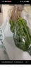 大菠菜300g 实拍图