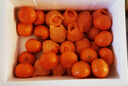 川红橘【顺丰/JD快递送货上门】重庆万州古红橘柑桔子四川大红袍 9斤  【百年老树红橘】80%选择-划算 精品中果【陈皮原料】 实拍图