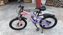 凤凰山地自行车男女变速山地车碟刹青少年儿童自行车学生单车 星际 粉紫【单速+辐条轮】 20寸【适合125-160cm】 实拍图