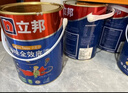 立邦儿童漆抗甲醛竹炭净味防霉京雅居全效乳胶漆15L/约21KG套装调色 实拍图