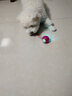 HELLOJOY狗狗玩具耐咬球自动逗狗神器自嗨解闷宠物电动小狗智能弹力遛狗球 实拍图