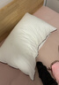 水星家纺枕头枕芯酒店枕头护颈枕头芯家用一对纯棉抗菌可水洗中枕48x74cm 实拍图