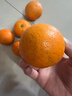 果果牛湖南麻阳冰糖橙 应当季新鲜水果手剥甜橙子高山夏脐血多汁 可选 净重9斤(单果60-65mm)推荐 实拍图