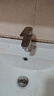 京东京造面盆水龙头304不锈钢冷热水龙头浴室卫生间洗脸盆洗手盆台盆通用 实拍图