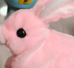 Honey Joy仿真毛绒儿童玩具兔兔会走会叫电动宠物粉兔子圣诞礼物 实拍图