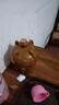 女兒红 陶坛三年 半干型 绍兴黄酒 1.5L 单坛装 冬酿封酒 热卖商品 实拍图