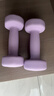 朗威哑铃女士哑铃套装组合小学儿童小哑铃练臂肌塑形初学健身家用器材 【纯铁】丁香紫-2kg*2只 1KG 起【健身塑型】 实拍图