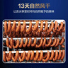 王家渡低温香肠正宗四川特产香肠350g纯猪肉腊肠非熟食腊味下酒菜700g 实拍图
