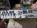 万代（BANDAI）MG 自由 2.0 高达 ZGMF-X10A Freedom Gundam 实拍图