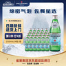 圣培露（S.PELLECRINO）意大利含气天然矿泉水气泡水 饮用水 250ml*24瓶 实拍图