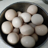 芮瑞 农家散养新鲜现捡土鸡蛋笨鸡蛋谷物柴鸡蛋初生蛋 单枚40g±3g 20枚 实拍图