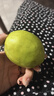 京鲜生 新疆库尔勒香梨 净重10斤 特级 单果120g以上 生鲜水果 实拍图