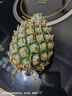 正宗海南金钻凤梨新鲜水果当季树上熟芒果凤梨【催熟食用】 1粒装中果 单果1.3-1.7斤 实拍图