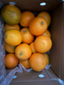 京鲜生 云南哀牢山冰糖橙/橙子 5斤装  单果100-130g 生鲜水果年货礼盒 实拍图