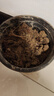 史丹利粗椰壳砖椰砖营养土进口脱盐椰糠土兰花植料月季养花通用型 实拍图
