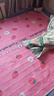 红豆电热毯双人双控调温家用单人学生宿舍正品2米1.8米1.5m加大电褥子 正品红豆-加厚暖绒-三档调温 正品-双人双控-长1.8米宽1.5米 实拍图