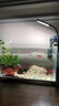 森森超白桌面小鱼缸生态玻璃缸水草缸客厅造景金鱼缸HWK-420P裸缸 实拍图
