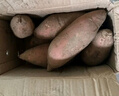 山东烟薯25号糖心流油地瓜烤红善溏心红薯流油蜜薯烤地瓜 烟薯中果2.8斤(单果150g+) 实拍图