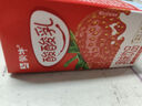 蒙牛酸酸乳草莓味轻享畅饮 211g*24盒 含乳饮料 礼盒装定制 京东专供 实拍图