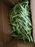 农家四季豆新鲜现摘云南长扁豆角农家应当季蔬菜芸豆现摘菜豆 新鲜四季豆2斤带箱 实拍图