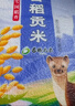 福临门 雪国稻香 香稻贡米 东北大米 10斤 实拍图