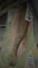 太湖海【无抗或有机认证 淡水鲈鱼】孕妇婴儿童食辅 鲜活三去鱼类水产 【无抗鲈鱼】200g/条*3条 实拍图