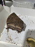 鲜京采 黑巧酪酪巧克力蛋糕420g/6块 动物奶油零食糕点下午茶中秋聚会 实拍图