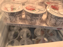 卡士鲜酪乳蓝莓100g*6杯+黄桃100g*6+草莓100g*6 实拍图