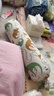 babycare婴儿安抚枕头宝宝多功能抱枕透气枕头6月-6岁-比奇角恐龙39*12cm 实拍图