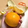 京鲜生 江西赣南脐橙 净重6斤装 铂金果 单果180g起 生鲜水果礼盒 实拍图