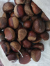 【东东农场专供】25年丹东新板栗生板栗炒菜专用新鲜蔬菜生鲜 25年新下树 2斤 送栗爪 实拍图
