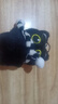 黑猫玩偶毛绒公仔挂件ins可爱猫咪包包挂饰情侣礼物送女朋友礼物 黑白围巾+黑猫【送黑色珠珠链】 会吱吱叫【10厘米左右】 实拍图