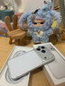 Apple/苹果【12期免息】iPhone 17 Pro 256GB 银色 支持移动联通电信5G 双卡双待手机 实拍图