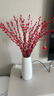 开时果 银柳鲜枝干花年宵花卉 红色真花福桶银柳水培植物室内装饰鲜花 A级银柳60cm20枝（喜庆红）+小灯笼2个 实拍图