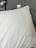 水星家纺枕头枕芯酒店枕头护颈枕头芯家用单个纯棉抗菌可水洗低枕48x74cm 实拍图