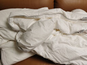 桐乡100%桑蚕丝被芯纯手工天然蚕丝被优质长丝四季被秋冬被子母被 子母被丝重2+4(总重约4+6斤） 200x230cm【白色全棉】 实拍图